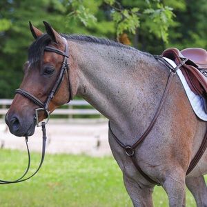🎁✈️😊Camelot, Dark Brown, English Breast-collar